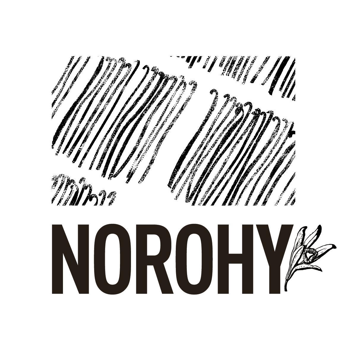 logo norohy